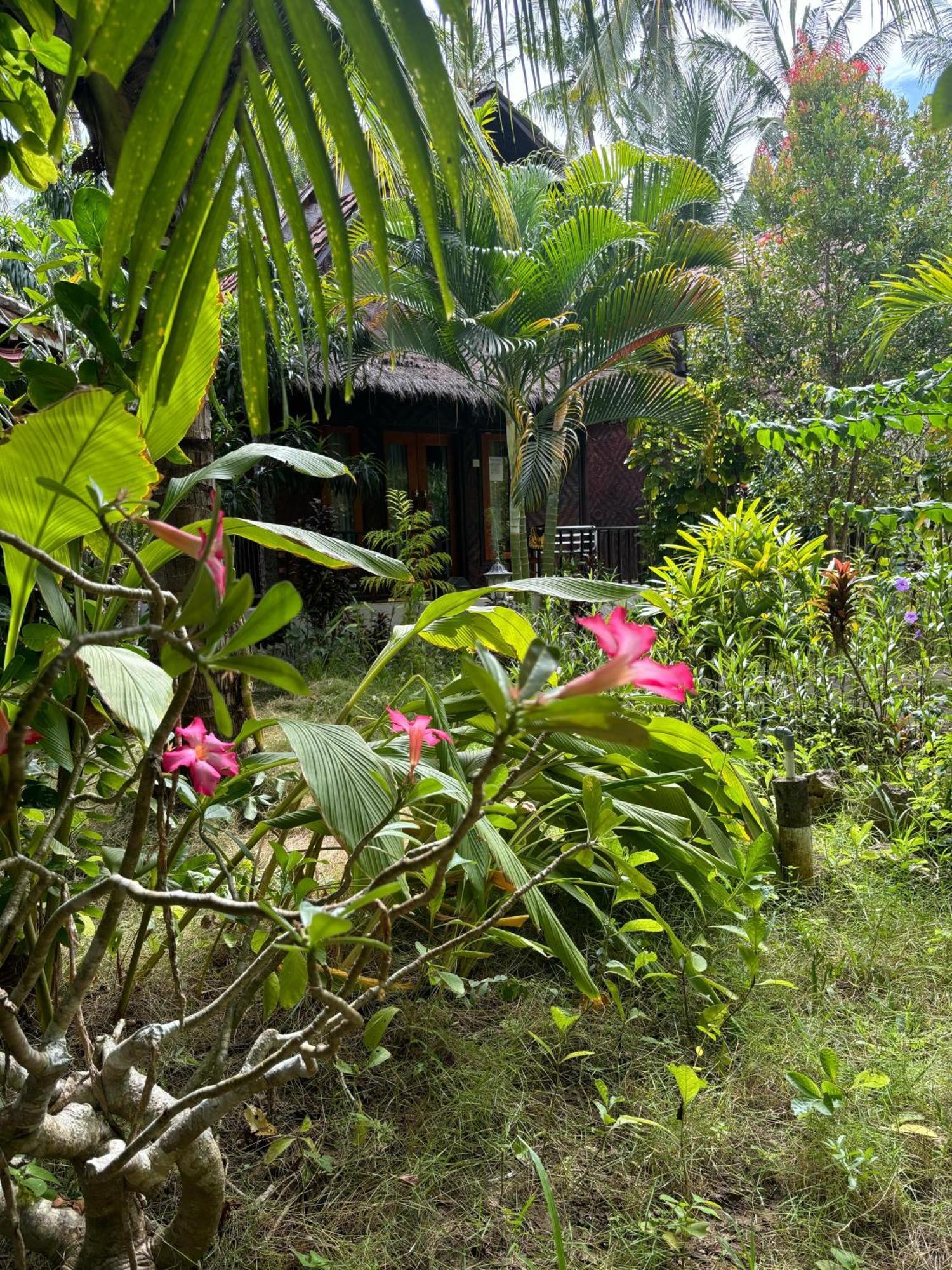 Kubu Artha Bungalow Nusa Penida Ped Экстерьер фото