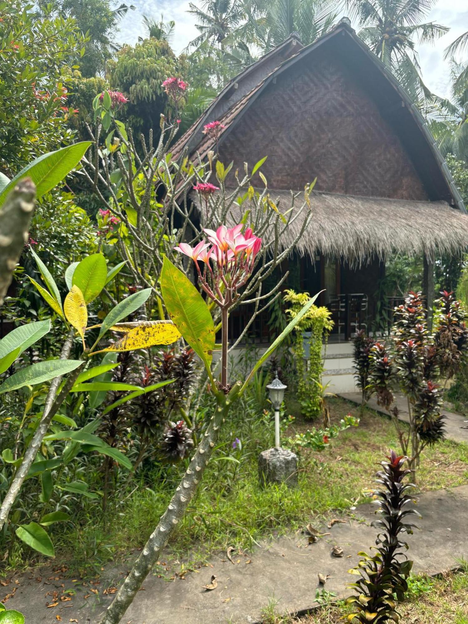 Kubu Artha Bungalow Nusa Penida Ped Экстерьер фото